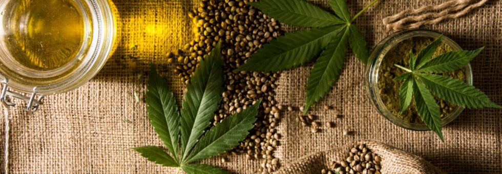 All About Hemp | CSC Education