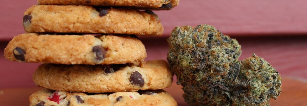 Marijuana Edibles All You Ever Wanted To Know | CSC Education