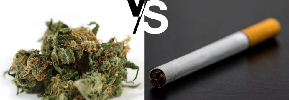 Weed vs cigarettes which is worse